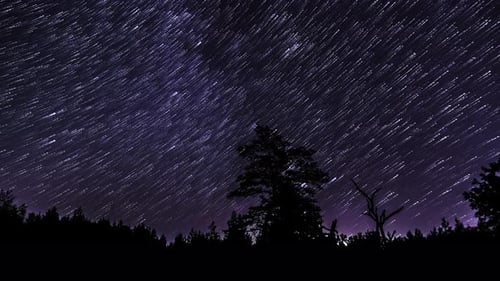 Star Trails im Nachthimmel