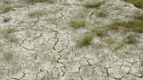 Cracked Dry Earth with Patches of Green Grass