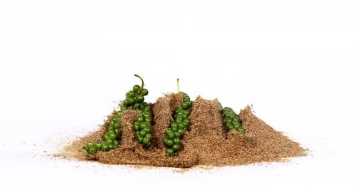 Fresh green pepper, piper nigrum, spice falling in pepper ground on white background, slow motion 4K