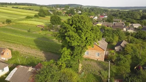 Aerial view of small village with small houses among green trees