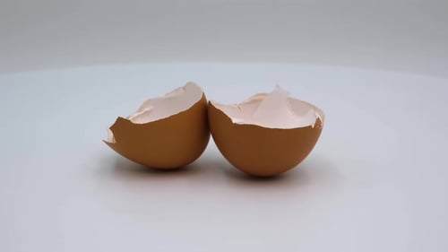 Eggshell