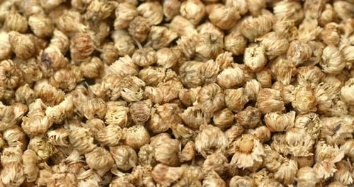 Dried Chrysanthemum Buds for Tea, Close Up