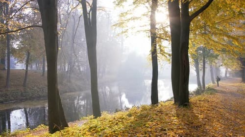 Autumn