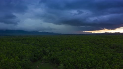 Rain storms and black clouds.