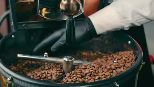 Roasted Coffee Beans Spinning Inside Roasting Machine