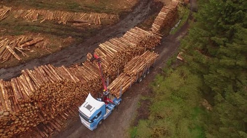 Forestry and logging operations taking place in the highlands of Scotland using large industrial mac