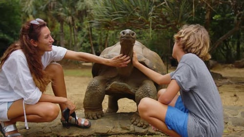 Interaction Between Humans and Animals