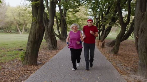 Senior Couple Jogging in a Shady Green Park