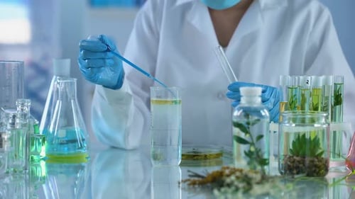Lab Worker Examining Plants and Liquid Samples