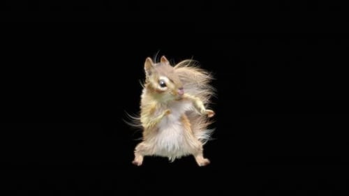 70 Chipmunk: Tanzen HD