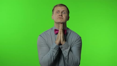 Handsome Man Hands in Prayer and Begging, Asking Permission Heartily. Apologize, Forgive. Chroma Key