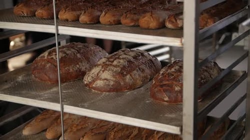 Dark Bread At The Bakery