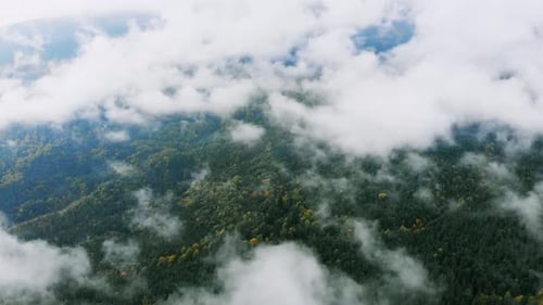 Imagens aéreas de drones: montanhas, outono, floresta, vapor após chuva.