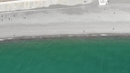 Aerial View of People Crowd Relaxing on Beach and Sea with Waves