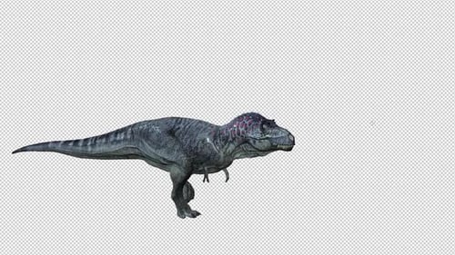 Animated 3D T-Rex Dinosaur Walking and Roaring
