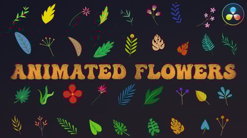Animated Flowers for DaVinci Resolve