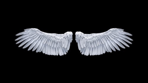 Realistic White Feathered Wings Flapping Animation