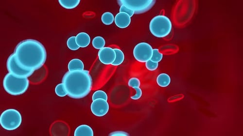 Nutrients flowing in the blood stream