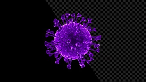 Purple 3D Virus Cell Rotating Seamless Loop Animation
