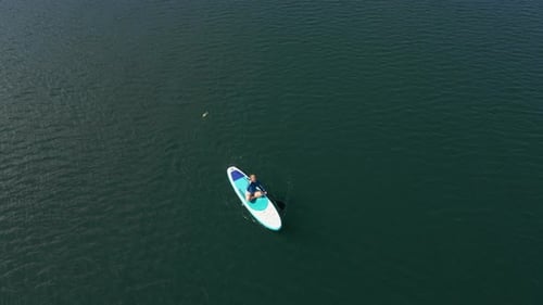 Aerial Shot