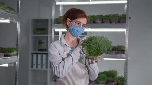 Woman Inspecting Fresh Microgreens in Indoor Facility