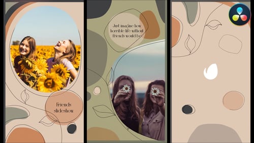 Friends Social Media Slideshow for DaVinci Resolve