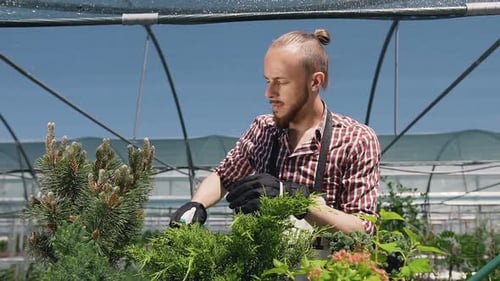 Beautiful Man in a Garden Apron that Watered Plants in a Large Greenhouse
