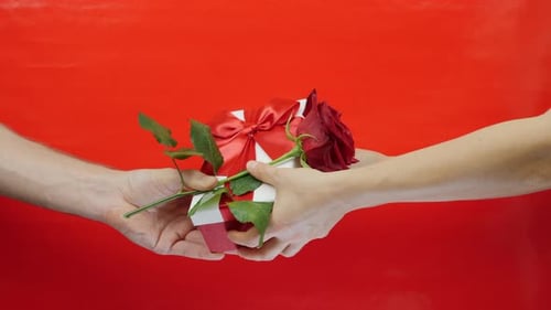 Hands Exchanging a Gift with a Rose
