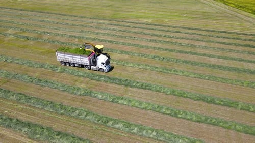 Maschinelle Landwirtschaft