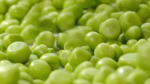 Rotating of Fresh Green Pease