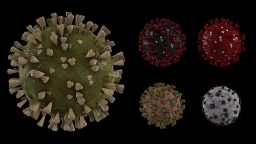 3D Rotating Virus Particle Models Collection