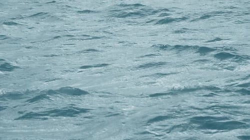 Waves