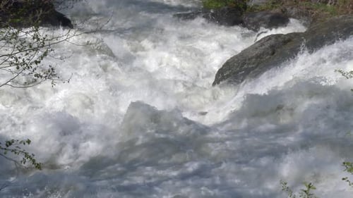 An Incredibly Fast Flowing Raging Foamy River in Spring Forest with Slow Motion