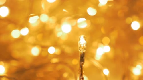 Glowing Christmas Lights Sparkle in the Warm Light
