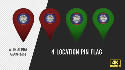 3D Animated Belize Flag Location Pin Pack Loop
