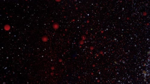 White and Red Particles Move Randomly