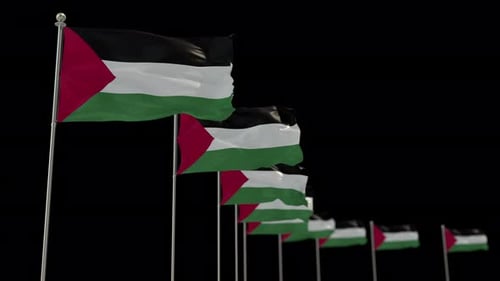 Realistic 3D Animation of Multiple Waving Palestine Flags