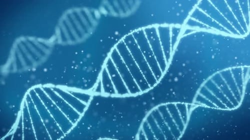 Doppelhelix Dna Strand