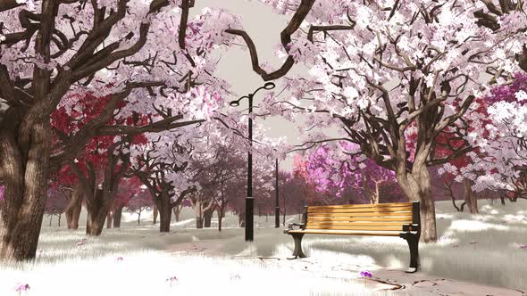 Season Change From Winter To Spring, Backgrounds Motion Graphics ft ...