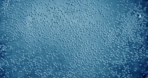 Rising Bubbles in Sparkling Clear Water