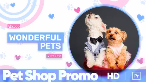 Promoção Pet Shop