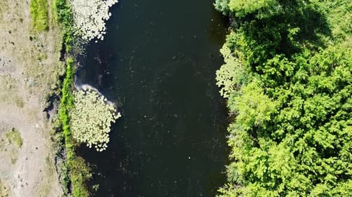 Aerial View From Drone Flying Above the River Flows Between the Forest and Field. Dark Water in the