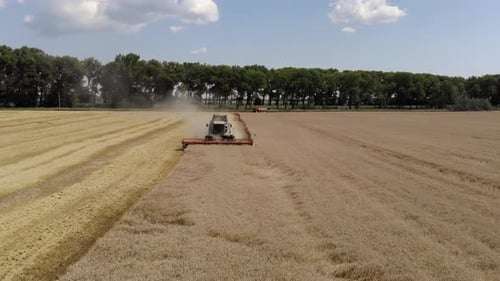 Top View of the Harvester Collects Wheat