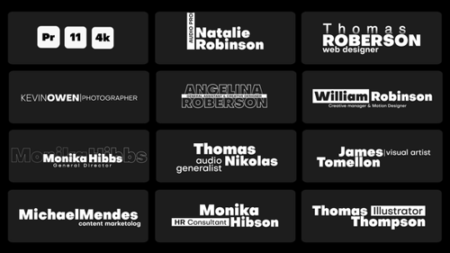 Clean Animated Lower Thirds for Professional Video Titles