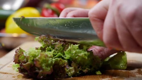 Hands Chopping Fresh Lettuce in Home Kitchen