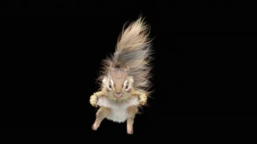 Animated Squirrel Standing and Waving Tail