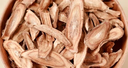 Dried heap of burdock