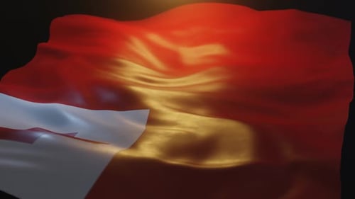 Niedrige Winkelansicht der Tonga-Flagge