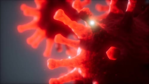 Red Microscopic Virus Cell Animation