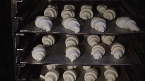 Close View of Shaped Raw Dough for Baking the Croissants on Plates of a Rack